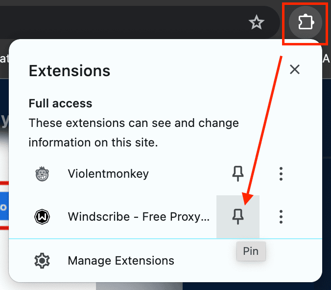 How To Pin The Extension